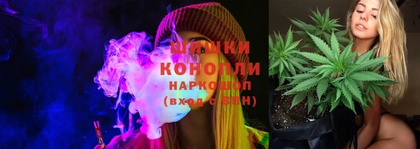 дмт Абаза