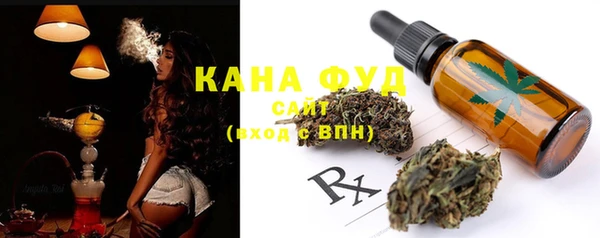 дмт Абаза