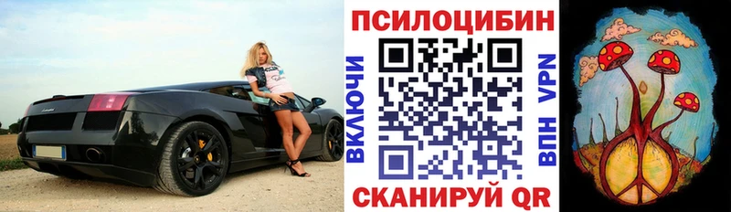 кракен онион нарко площадка официальный сайт Псилоцибиновые грибы мицелий купить закладку Дрезна